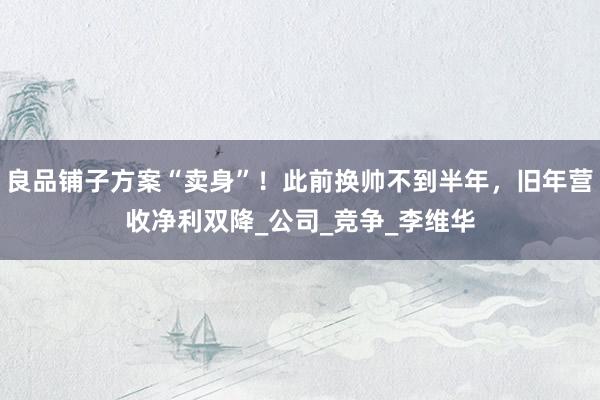 良品铺子方案“卖身”！此前换帅不到半年，旧年营收净利双降_公司_竞争_李维华