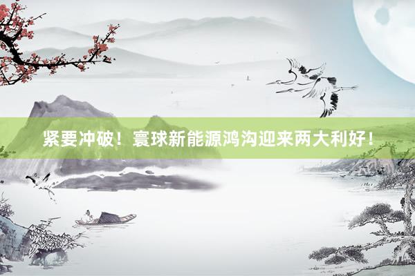 紧要冲破！寰球新能源鸿沟迎来两大利好！