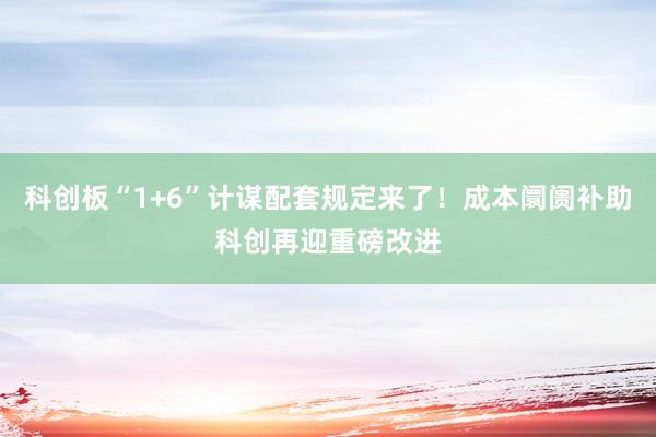 科创板“1+6”计谋配套规定来了！成本阛阓补助科创再迎重磅改进
