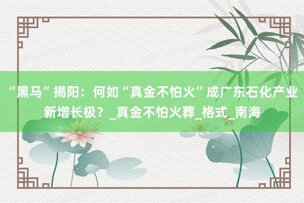 “黑马”揭阳：何如“真金不怕火”成广东石化产业新增长极？_真金不怕火葬_格式_南海