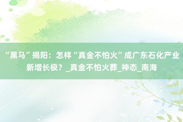 “黑马”揭阳：怎样“真金不怕火”成广东石化产业新增长极？_真金不怕火葬_神态_南海