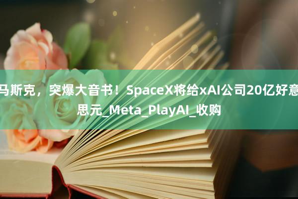 马斯克，突爆大音书！SpaceX将给xAI公司20亿好意思元_Meta_PlayAI_收购