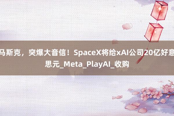马斯克，突爆大音信！SpaceX将给xAI公司20亿好意思元_Meta_PlayAI_收购