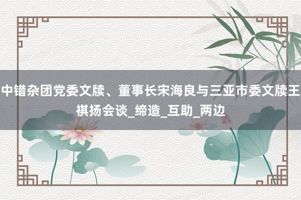 中错杂团党委文牍、董事长宋海良与三亚市委文牍王祺扬会谈_缔造_互助_两边