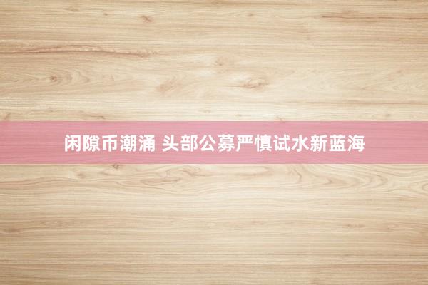 闲隙币潮涌 头部公募严慎试水新蓝海