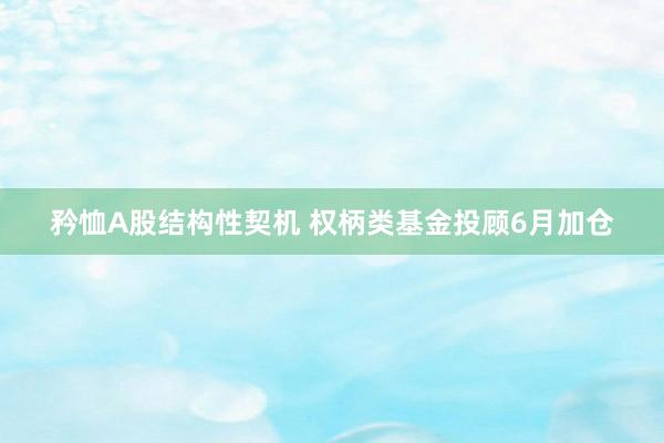 矜恤A股结构性契机 权柄类基金投顾6月加仓