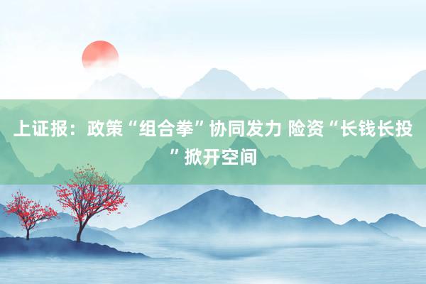 上证报：政策“组合拳”协同发力 险资“长钱长投”掀开空间