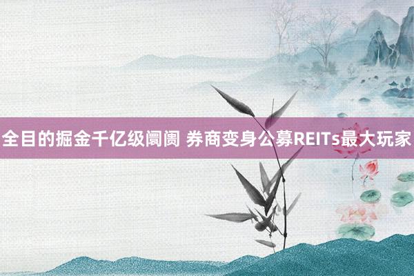 全目的掘金千亿级阛阓 券商变身公募REITs最大玩家