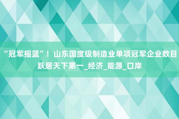 “冠军摇篮”！山东国度级制造业单项冠军企业数目跃居天下第一_经济_能源_口岸