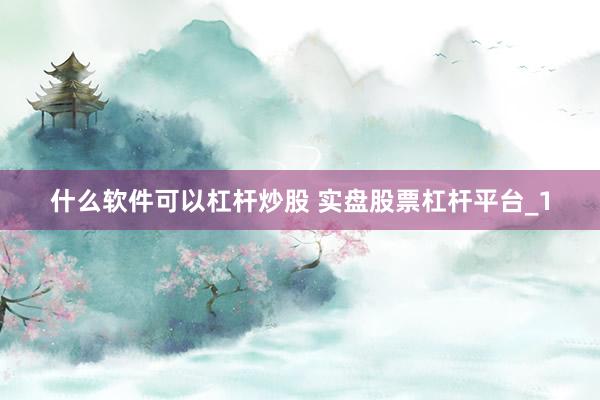 什么软件可以杠杆炒股 实盘股票杠杆平台_1