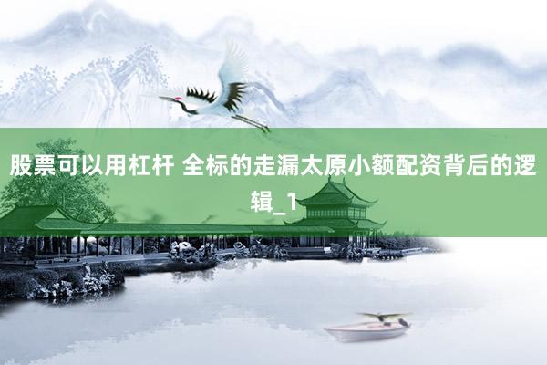 股票可以用杠杆 全标的走漏太原小额配资背后的逻辑_1