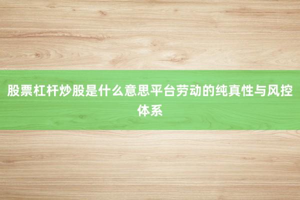 股票杠杆炒股是什么意思平台劳动的纯真性与风控体系