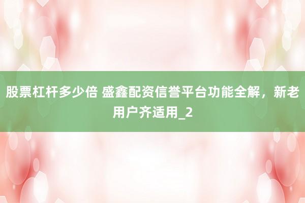 股票杠杆多少倍 盛鑫配资信誉平台功能全解,新老用户齐适用_2