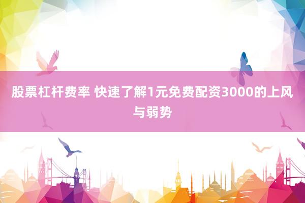 股票杠杆费率 快速了解1元免费配资3000的上风与弱势